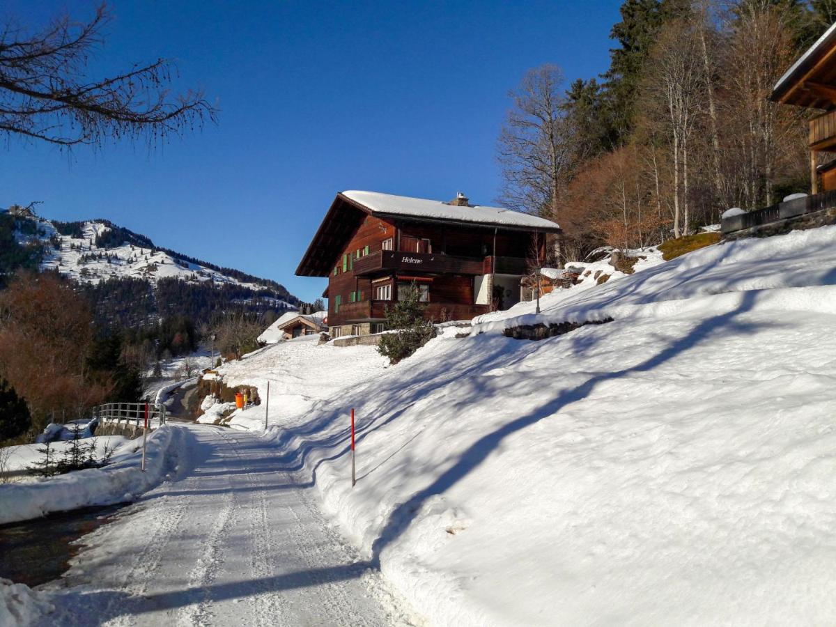 Apartment Helene Apt Diana By Interhome Wengen Exterior foto