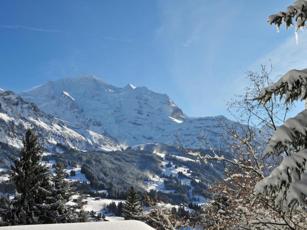 Apartment Helene Apt Diana By Interhome Wengen Exterior foto