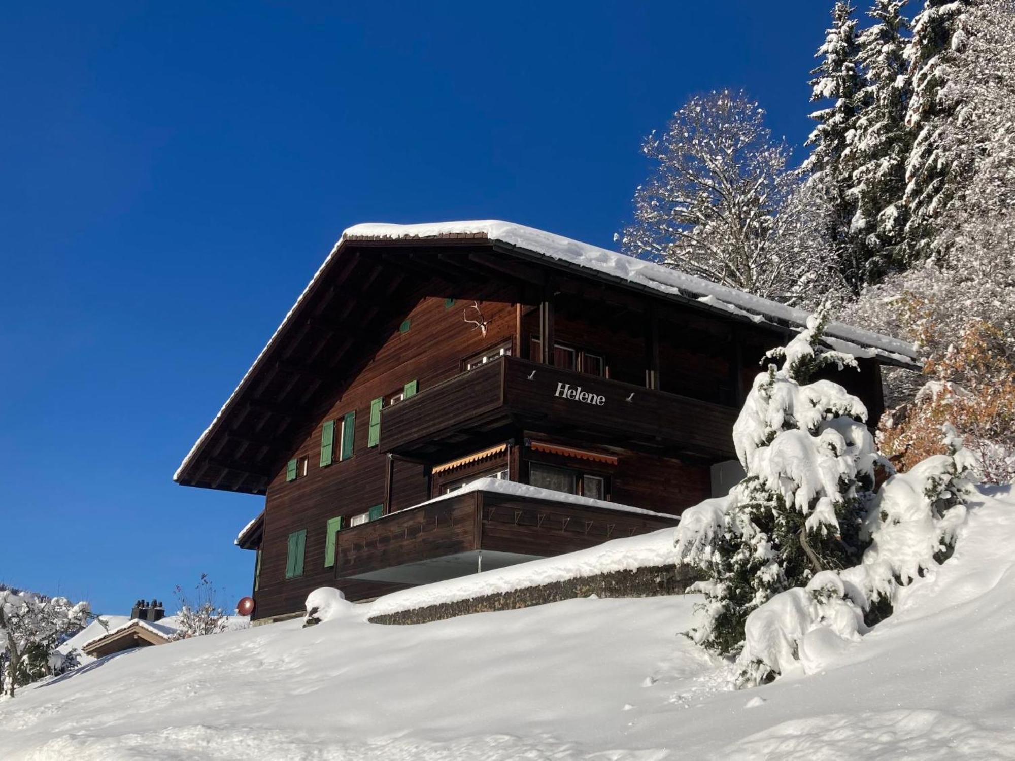 Apartment Helene Apt Diana By Interhome Wengen Exterior foto